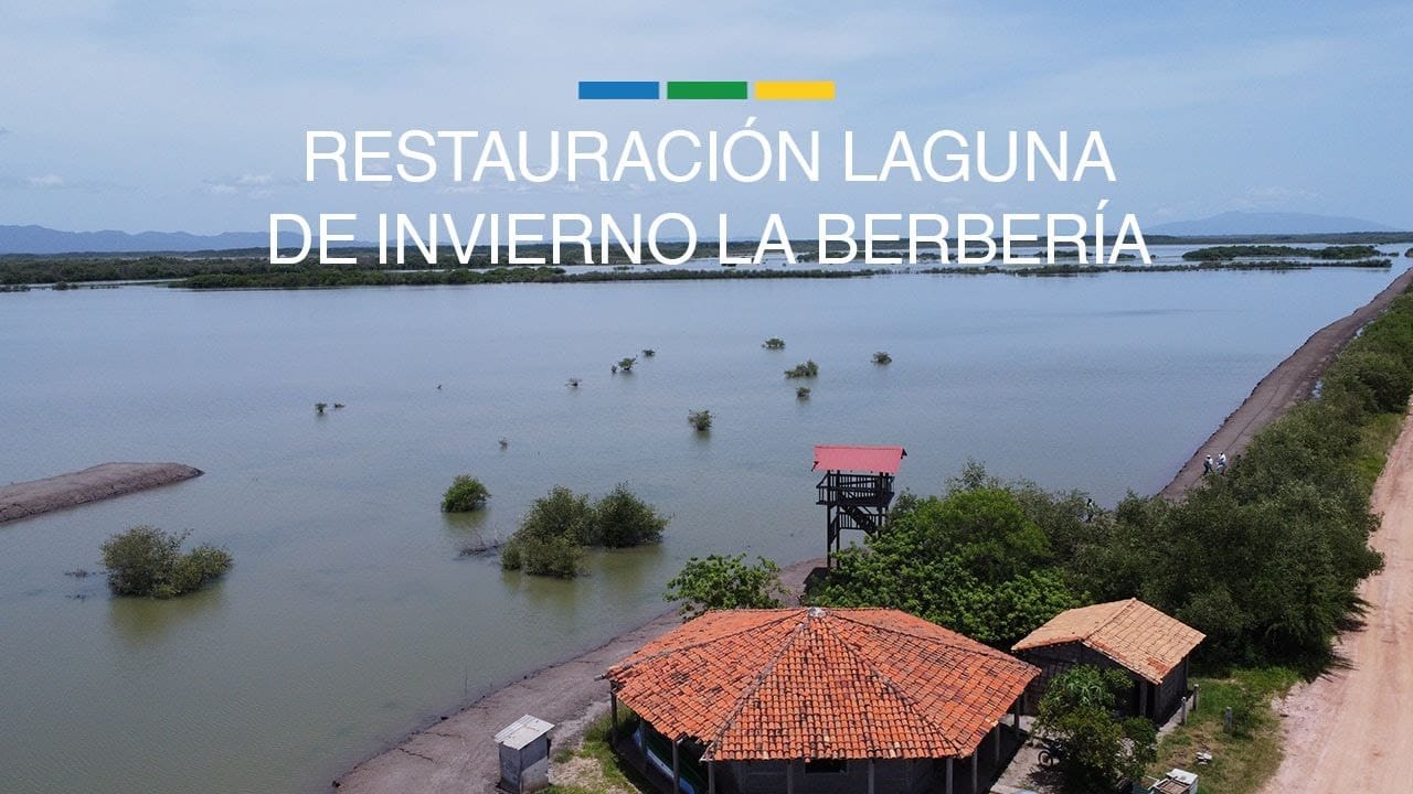 Restauración Laguna de Invierno La Berbería